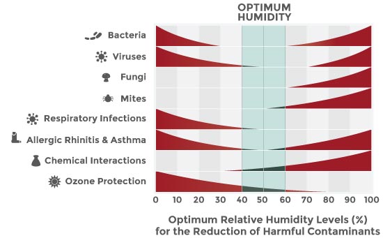 dust mites