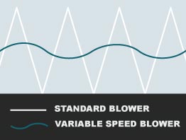 Temperature Swing Comparison